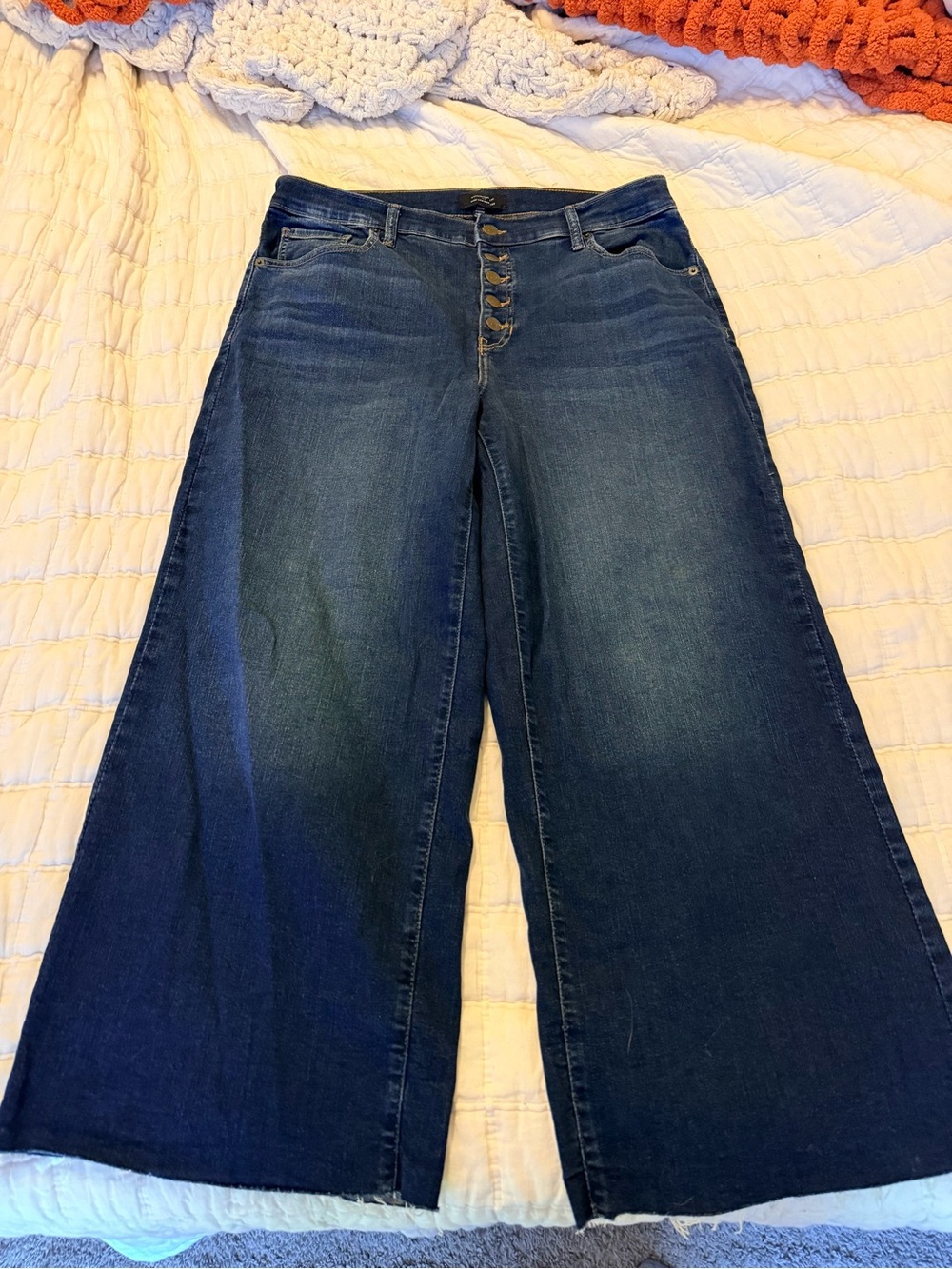Banana Republic Button Front Jeans
